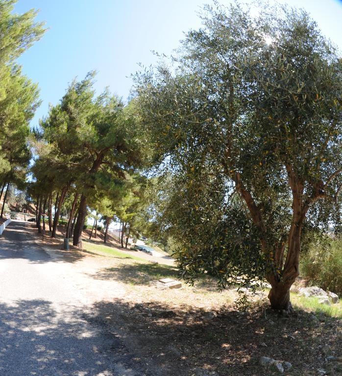 Villaggio Santo Stefano Vieste Esterno foto